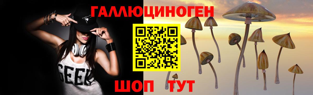 Галлюциногенные грибы GOLDEN TEACHER Тверь